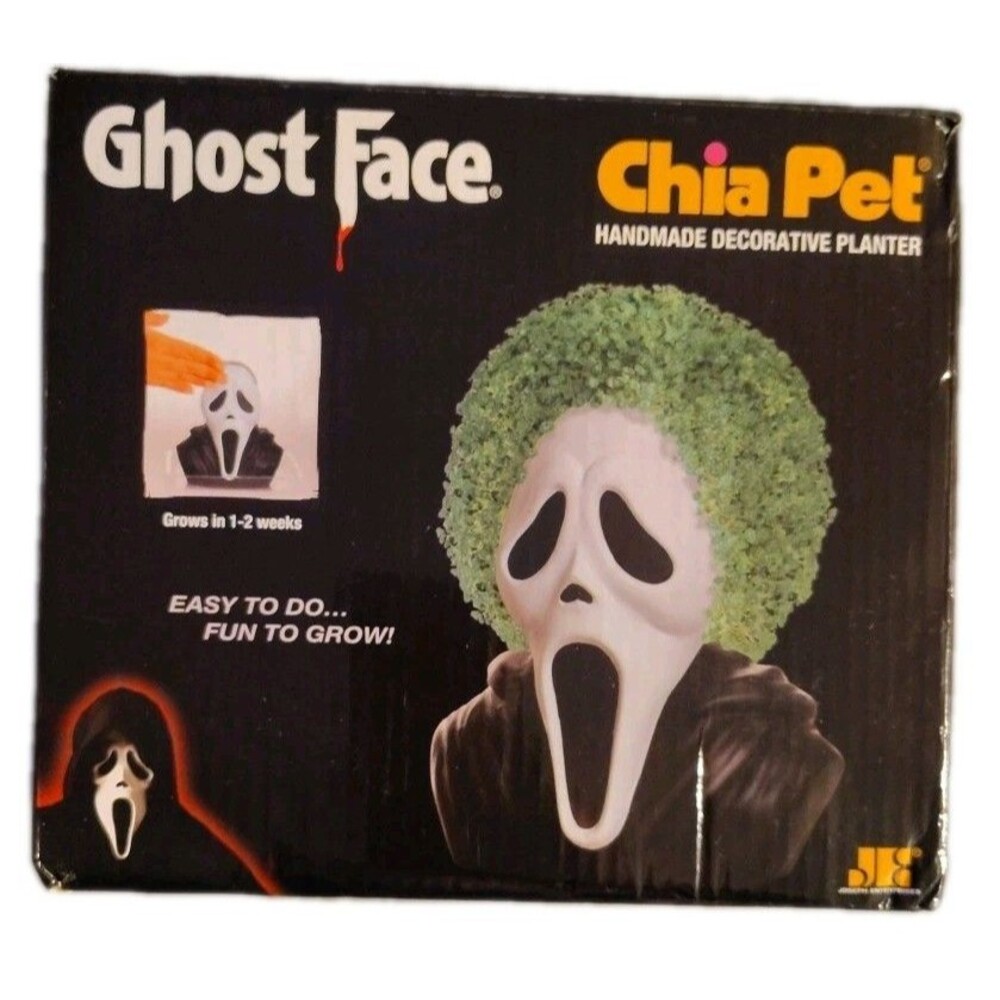 Chia Pet Ghost Face Handmade Decorative Planter, New